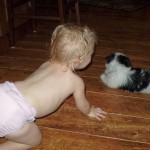 clothdiaper