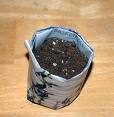 starting pots starting pots