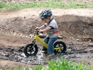 striderphoto