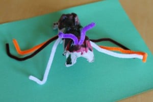 eggcartonbug3