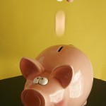 piggy