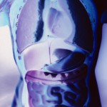Anatomy Model