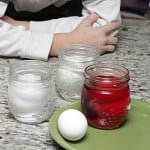 egg science project