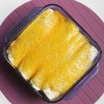 Chicken Enchilada