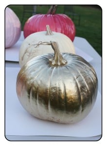 decorative pumpkins